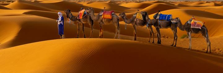 סהרה, מרוקו Sahara, Morocco